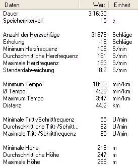 Geneve Marathon 2008 in Genf, Matthias Bachmann