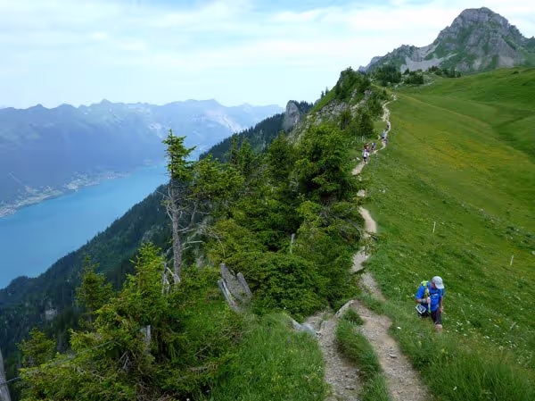 Eiger Ultra Trail 2014 in Panorama Trail, Matthias Bachmann