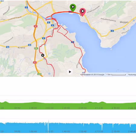 Laufdaten Swiss City Marathon 2014