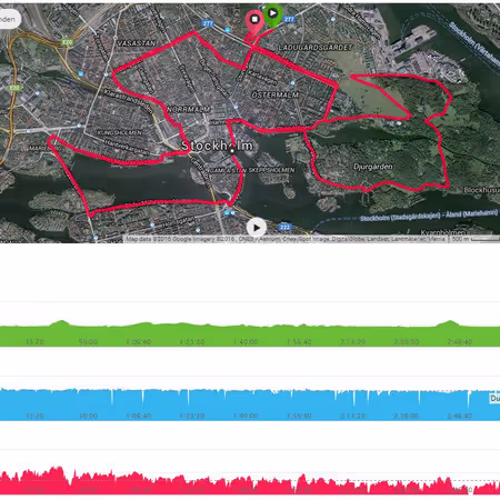 Laufdaten ASICS Stockholm Marathon 2016