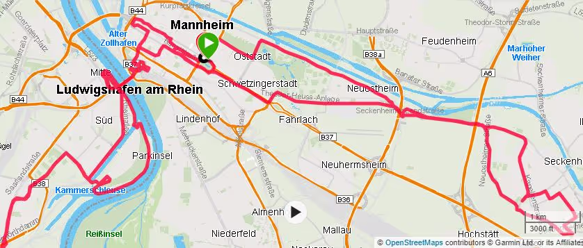 Laufdaten Mannheim Marathon 2019