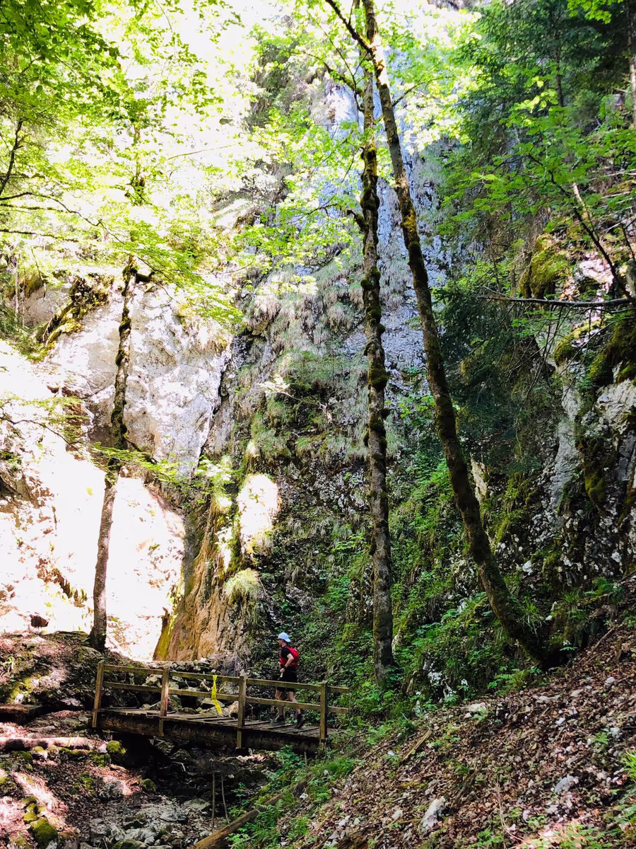 Swiss Canyon Trail 2019, Matthias Bachmann