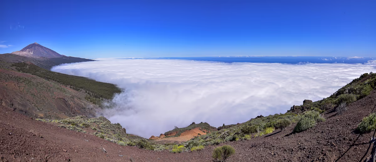 Tenerife Bluetrail 2021 in Teneriffa, Matthias Bachmann
