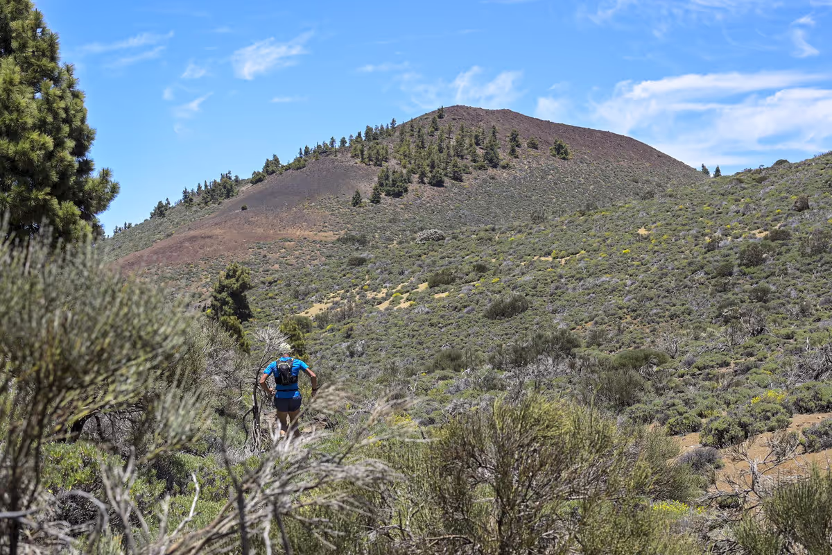 Tenerife Bluetrail 2021 in Teneriffa, Matthias Bachmann