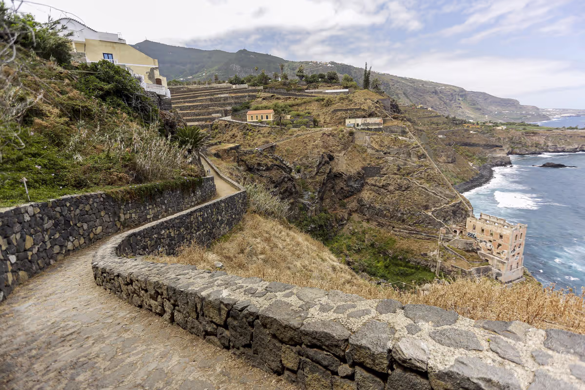 Tenerife Bluetrail 2021 in Teneriffa, Matthias Bachmann