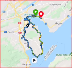 Laufdaten Swiss City Marathon 2021